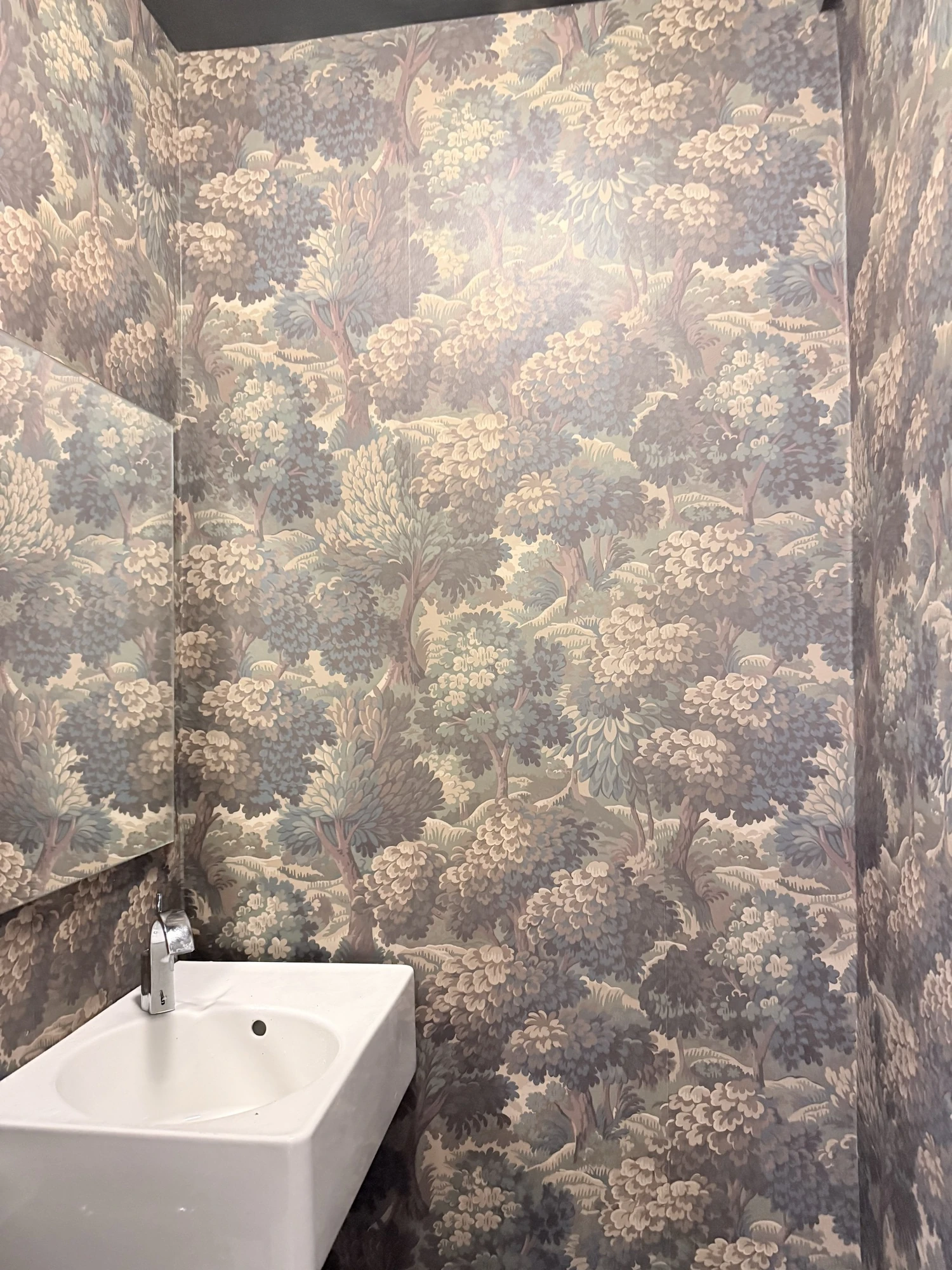 Botanical wallpaper wall above the powder room sink