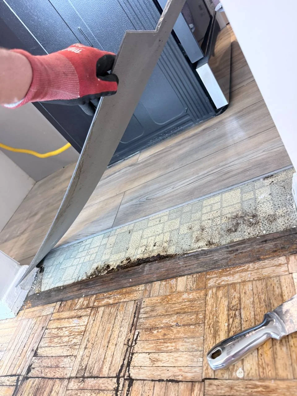 Lifting a vinyl plank at the kitchen threshold to reveal the wet, rotted subfloor edge, Bronx apartment