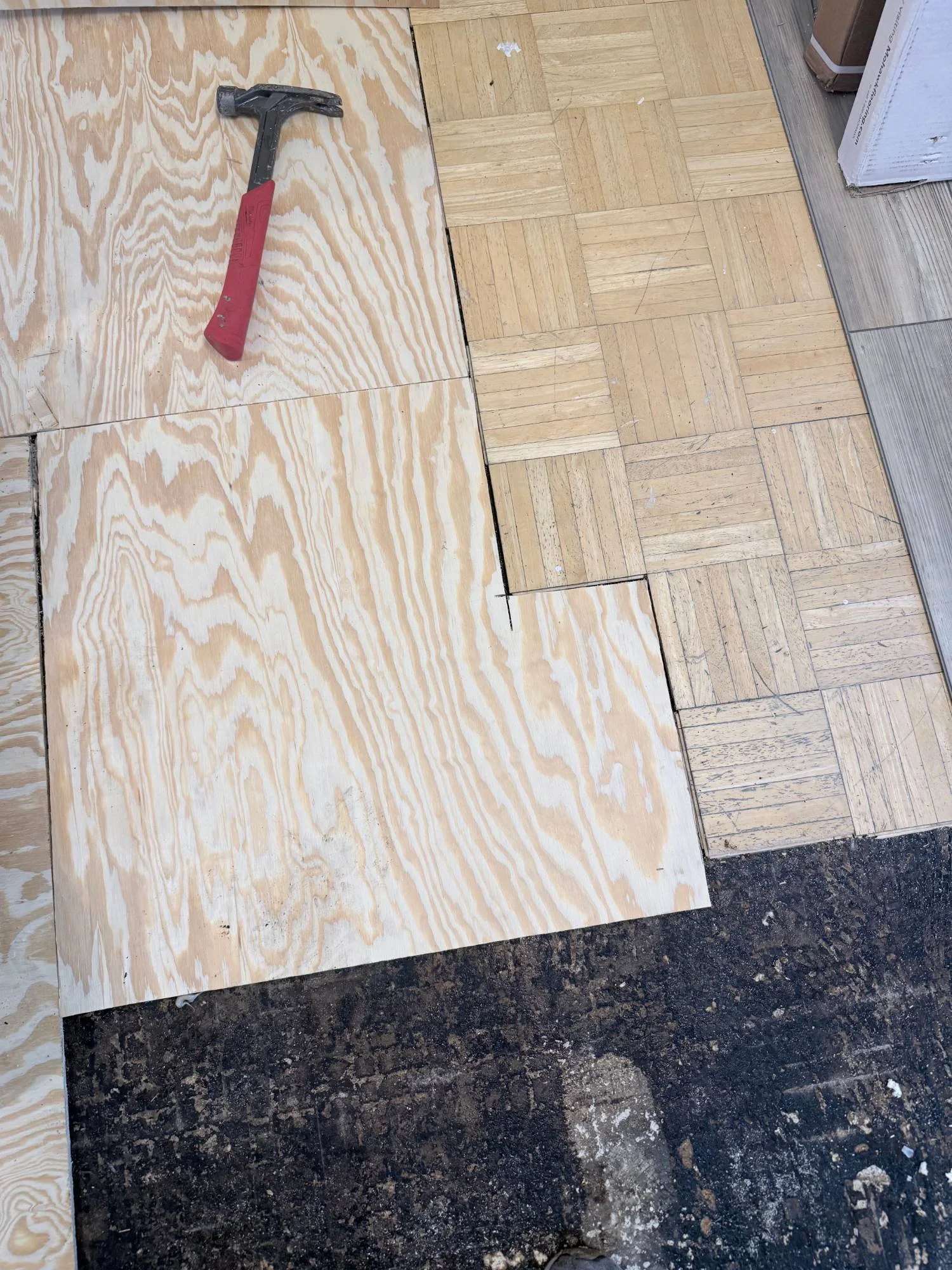 Plywood sheet set next to the remaining parquet, matched to the same thickness, Bronx apartment